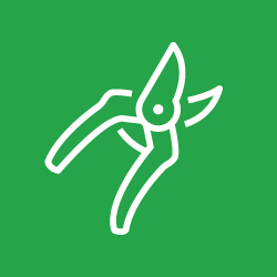 pruning icon