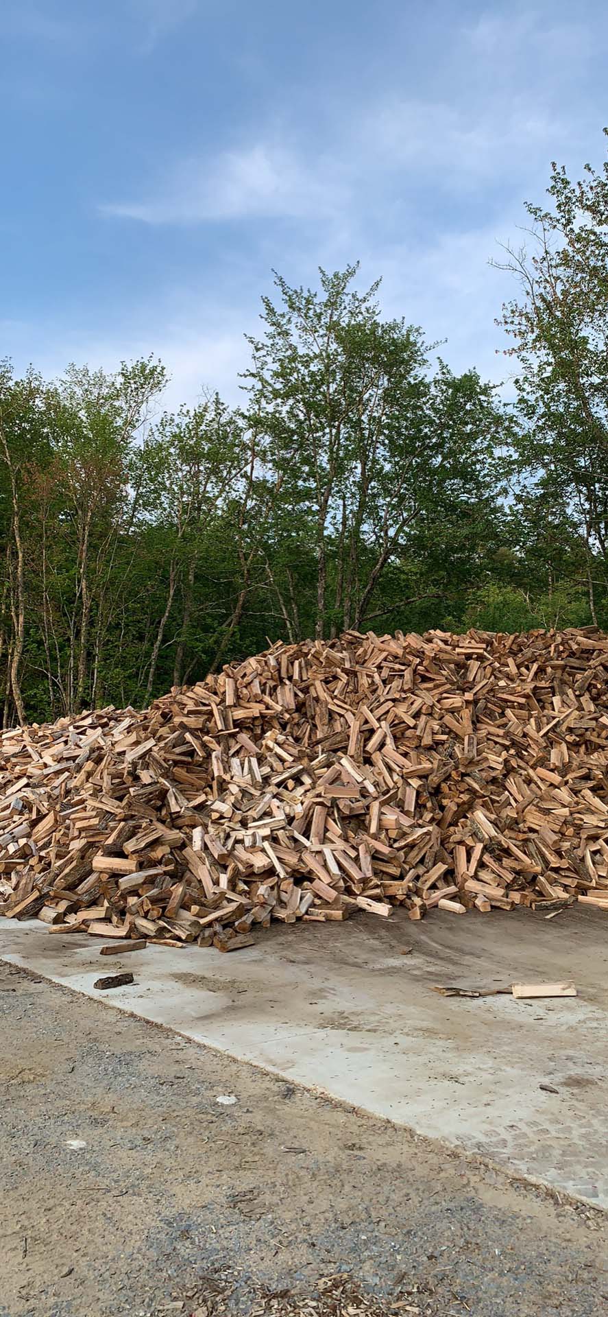 pile of split wood